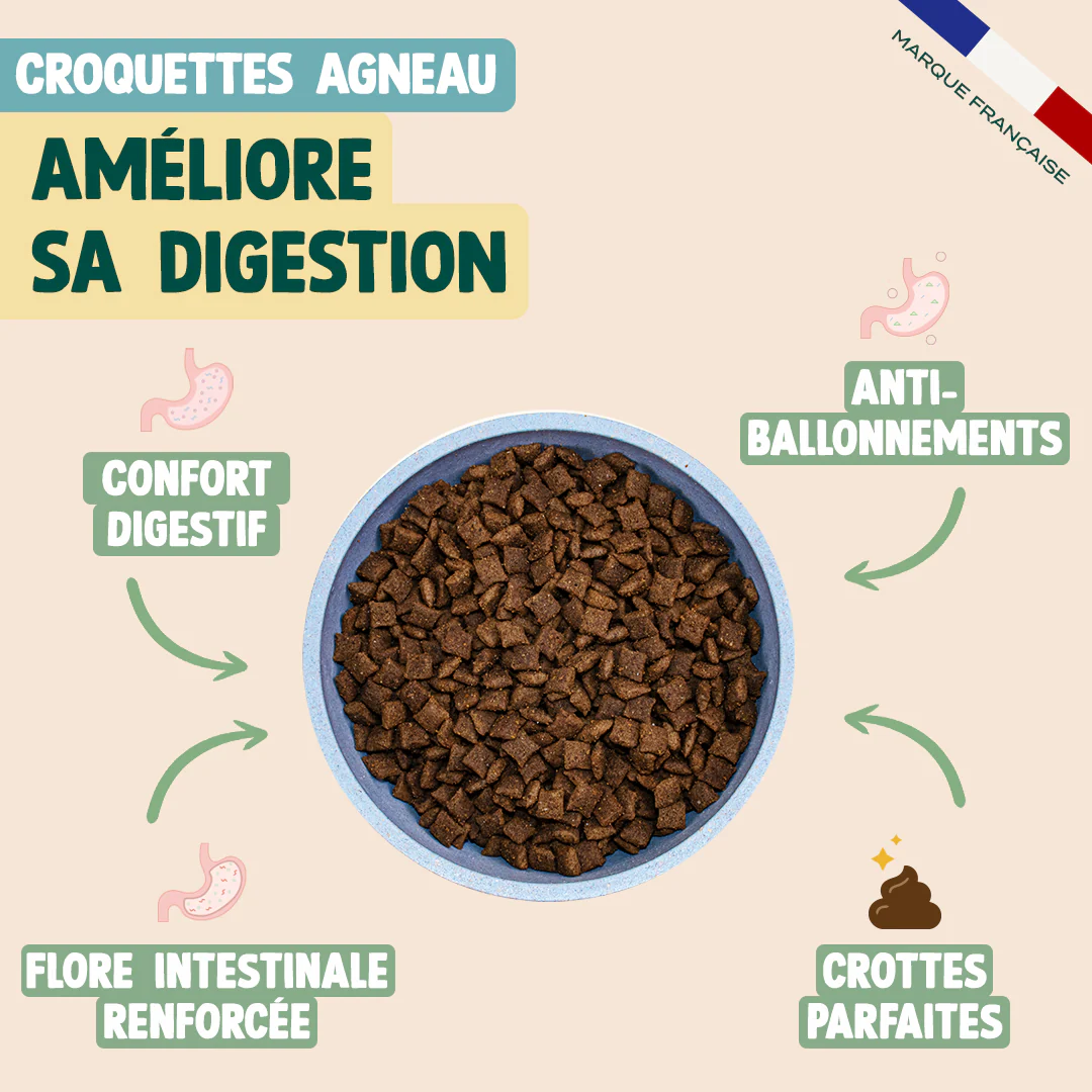 PACK ANTI-BOULES DE POILS CHAT - Image 3