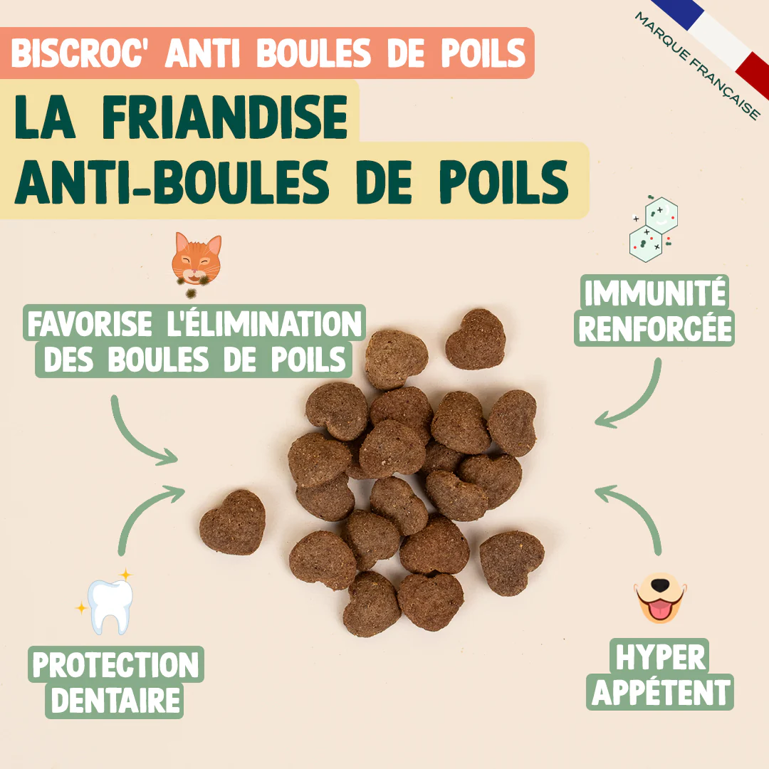 PACK ANTI-BOULES DE POILS CHAT - Image 5