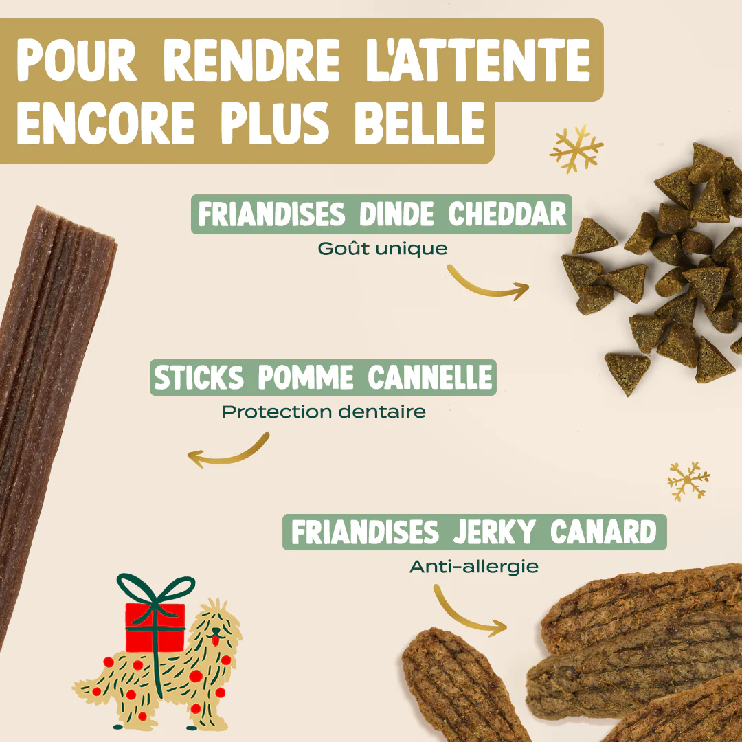 CALENDRIER DE L'AVENT CHIEN - Image 3