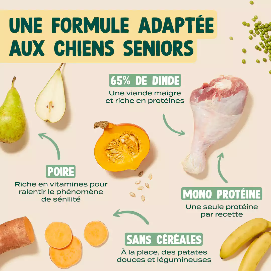 DINDE, COURGE, POIRE - Image 4