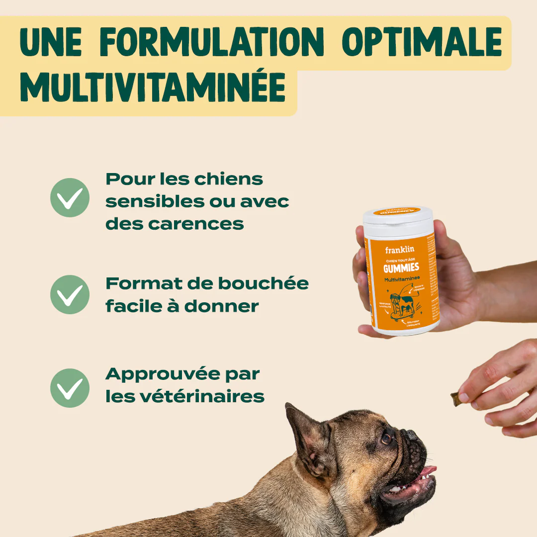 GUMMIES MULTIVITAMINES - Image 4