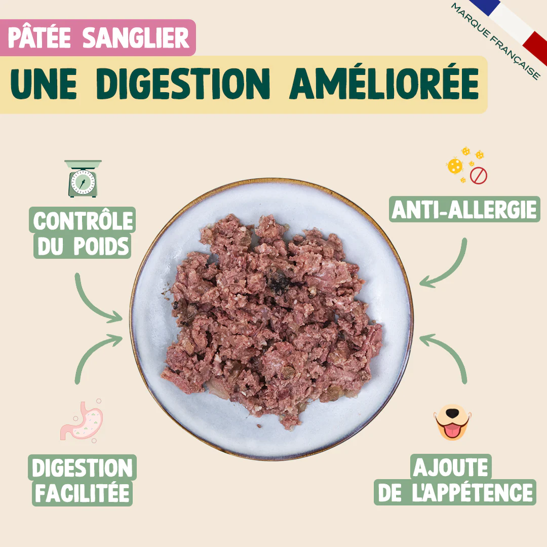 PACK DIGESTION CHIEN - Image 4