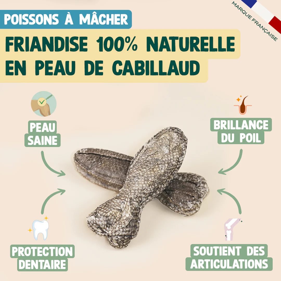 PACK PEAU ET PELAGE CHIEN - Image 4