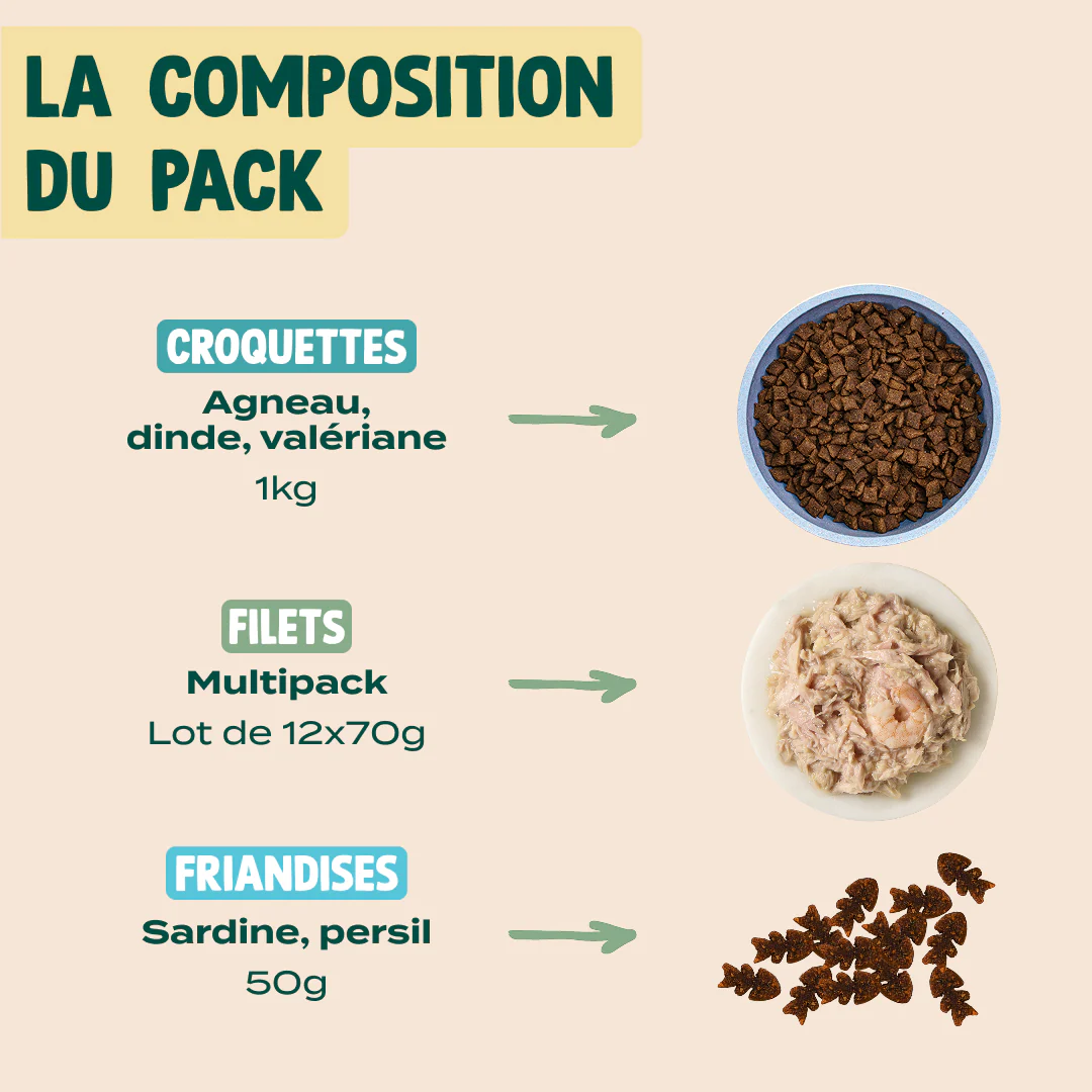 PACK DIGESTION CHAT - Image 2