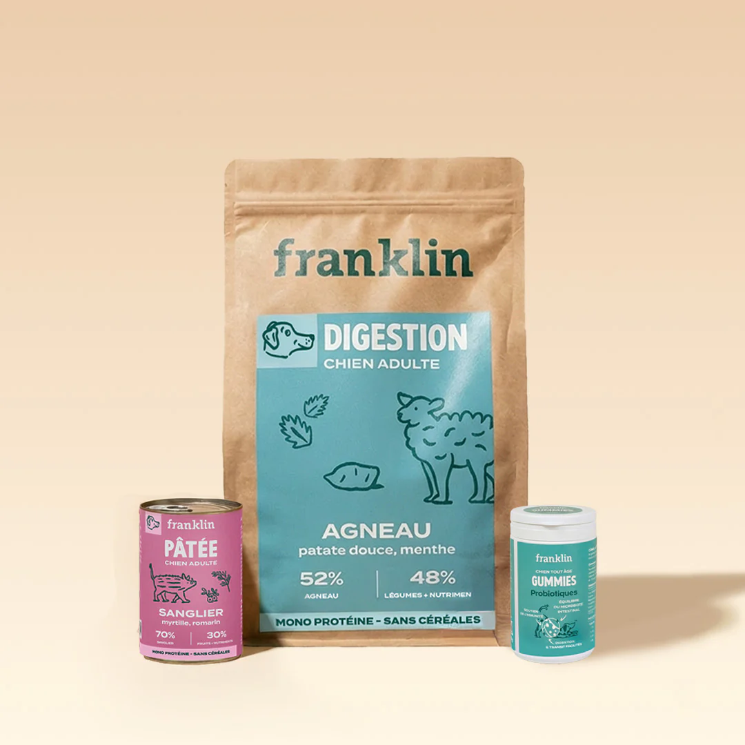 PACK DIGESTION CHIEN
