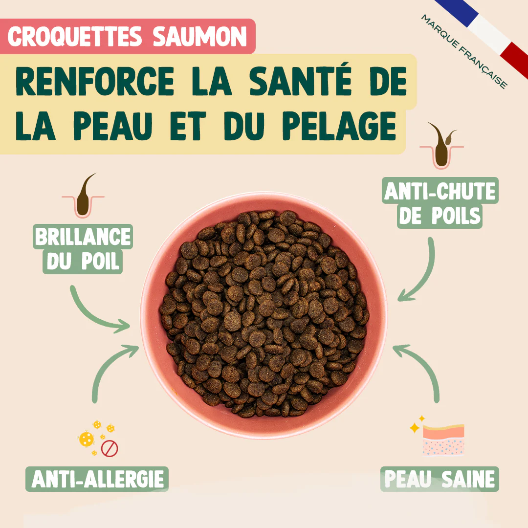PACK PEAU ET PELAGE CHAT - Image 3