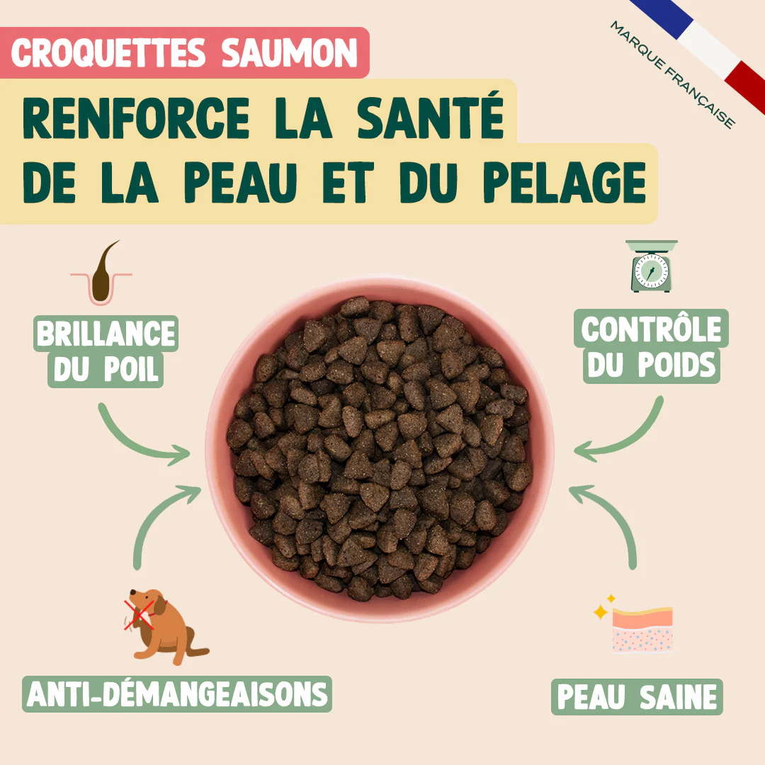 PACK PEAU ET PELAGE CHIEN - Image 3