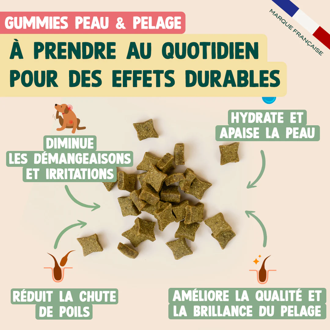 PACK PEAU ET PELAGE CHIEN - Image 5