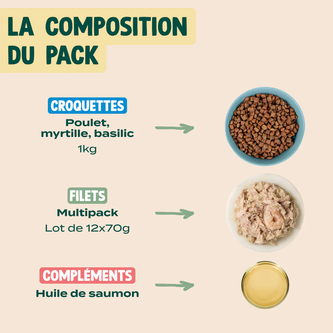 PACK CHAT SENIOR - Image 2