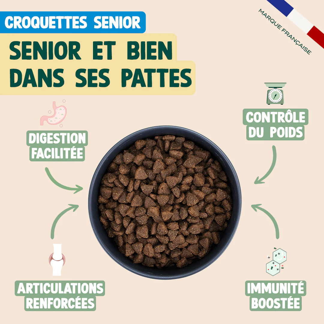 PACK CHIEN SENIOR - Image 3