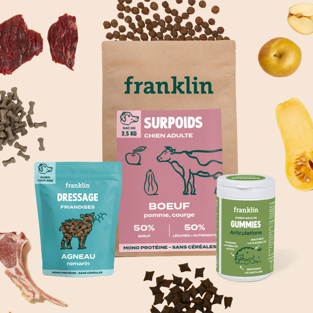 PACK SURPOIDS CHIEN