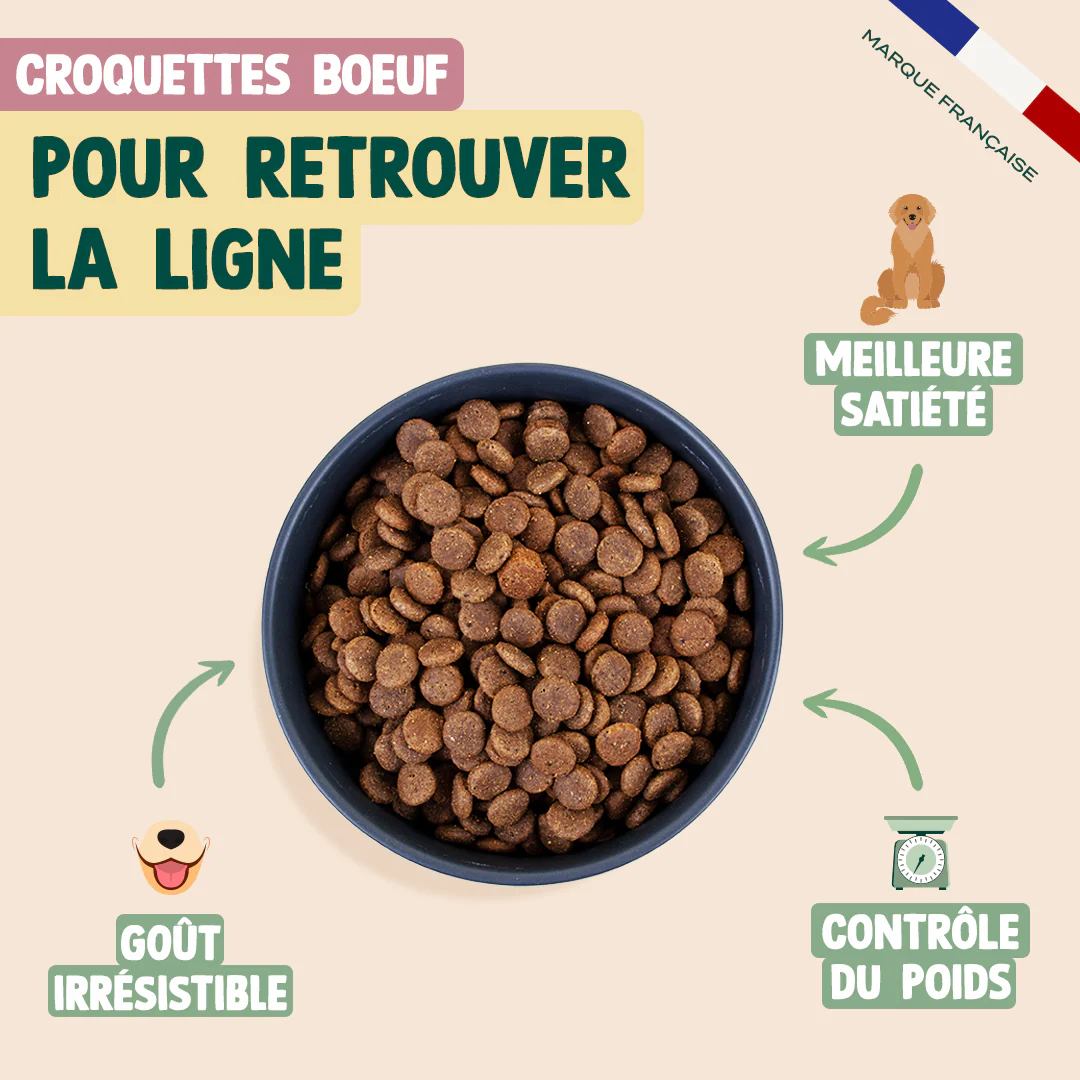 PACK SURPOIDS CHIEN - Image 3