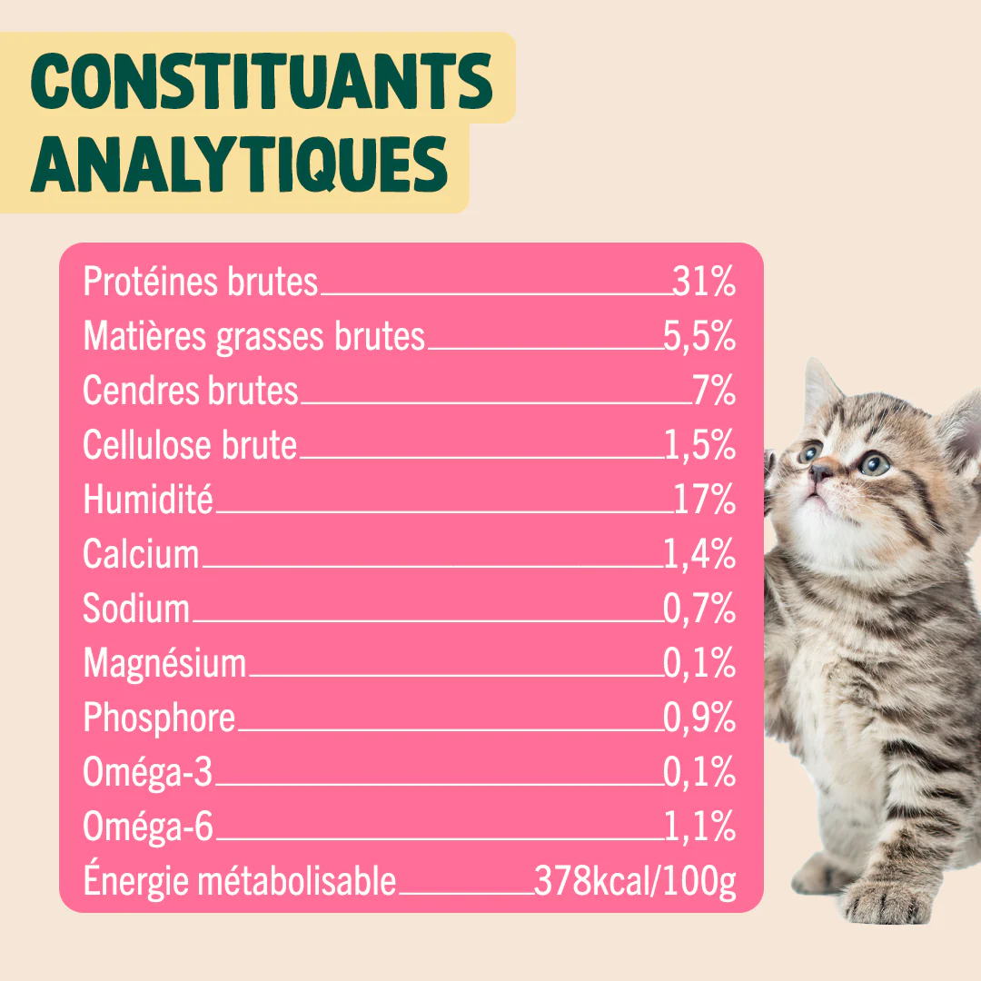 MINI BOUCHÉES - POULET, HERBE À CHAT - Image 6
