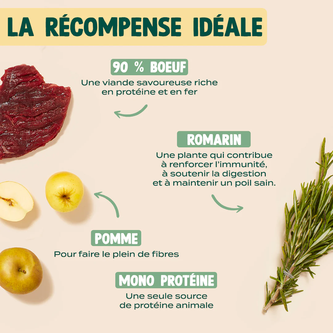MINI VIANDE SÉCHÉE - BOEUF, ROMARIN - Image 3