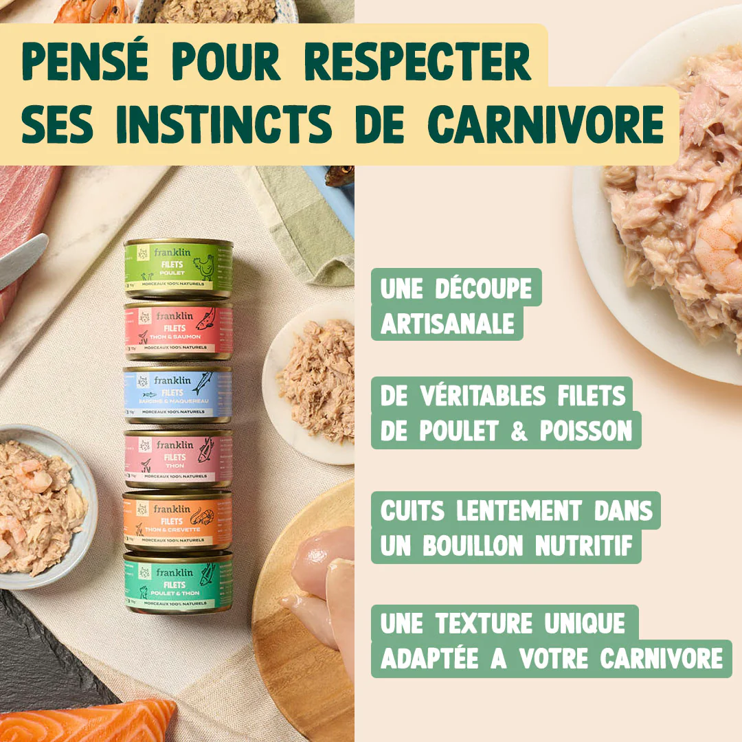 MULTIPACK FILETS - Image 4