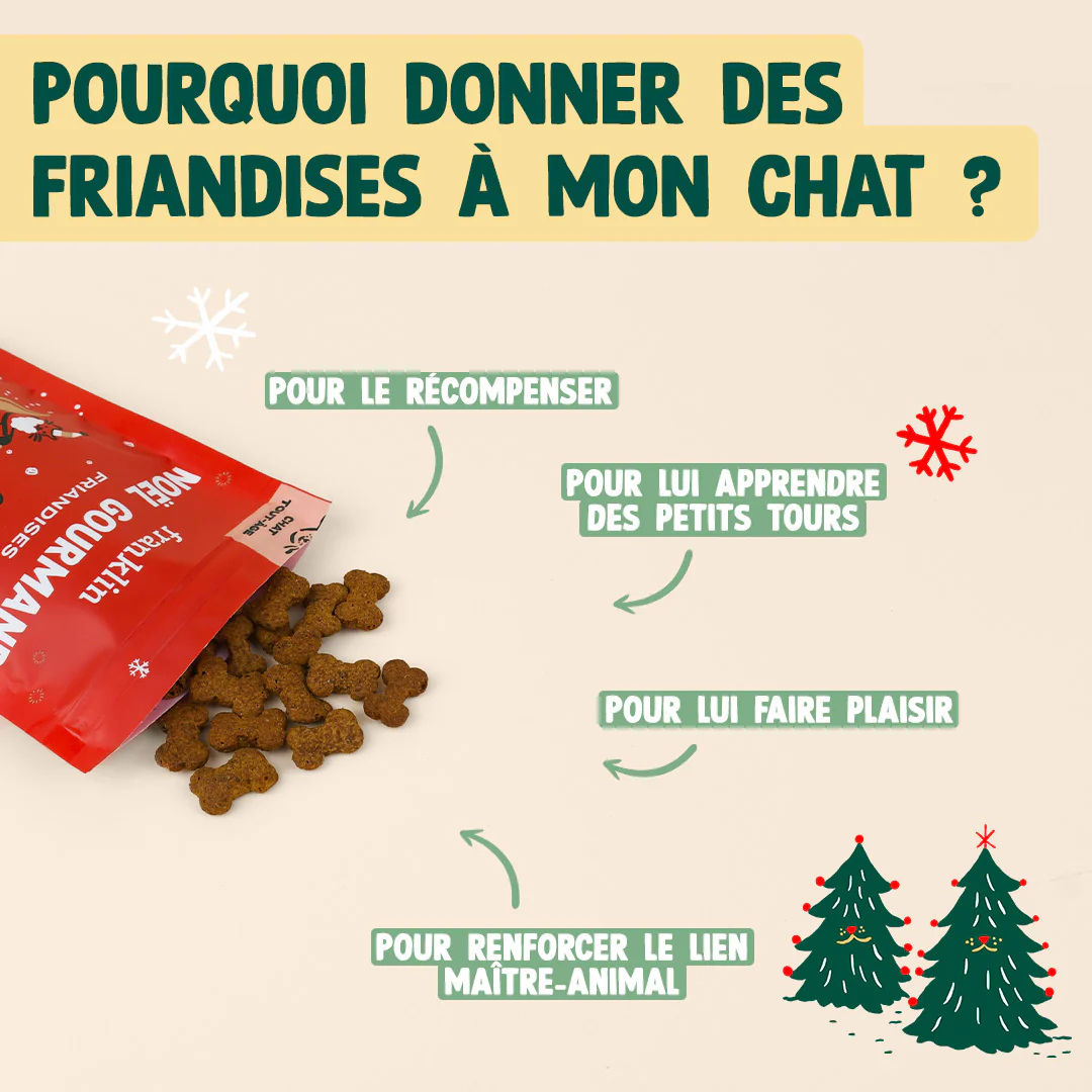 NOËL GOURMAND - CANARD, CRANBERRY - Image 5