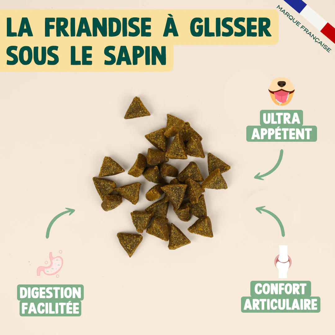 NOËL GOURMAND - DINDE, CHEDDAR - Image 3
