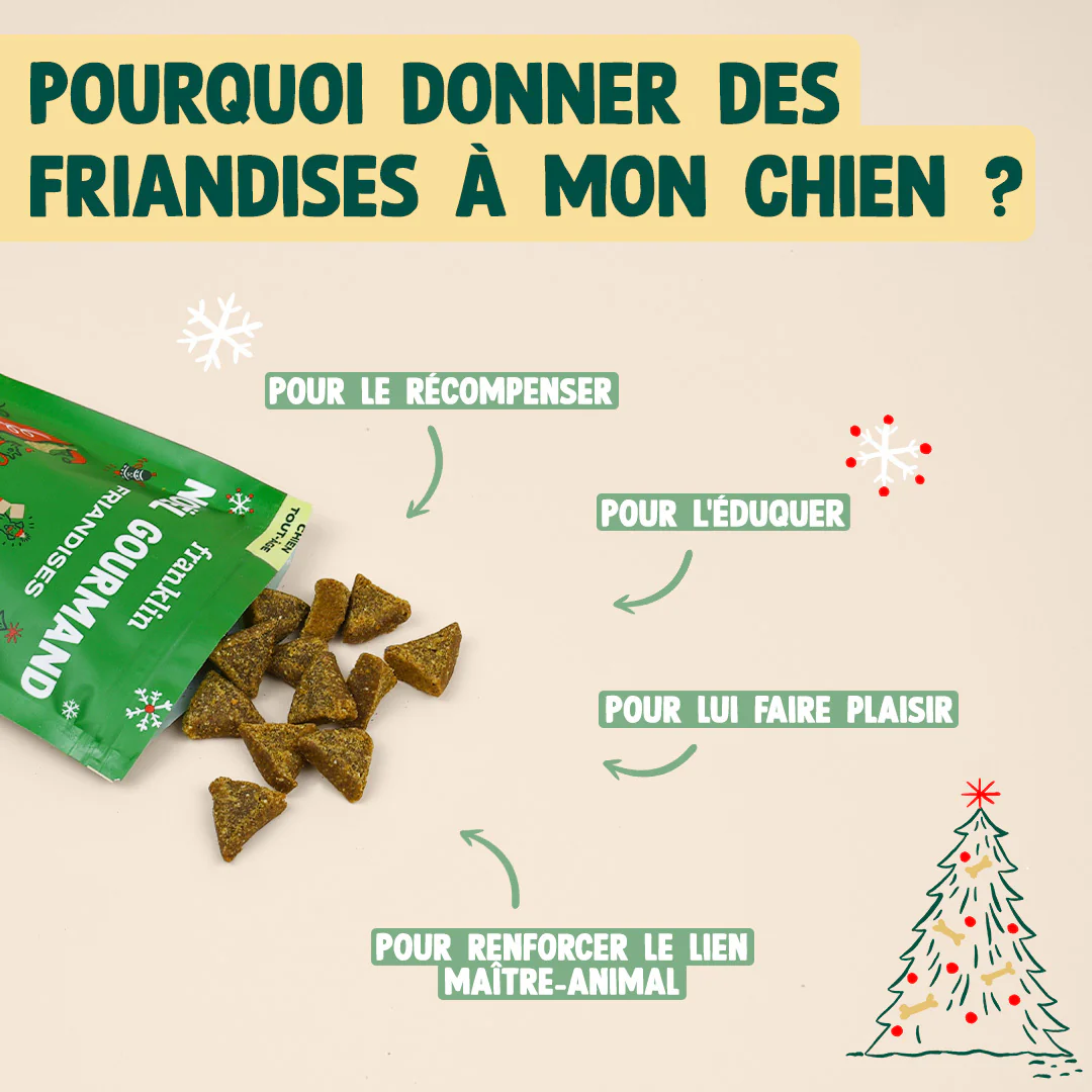 NOËL GOURMAND - DINDE, CHEDDAR - Image 5