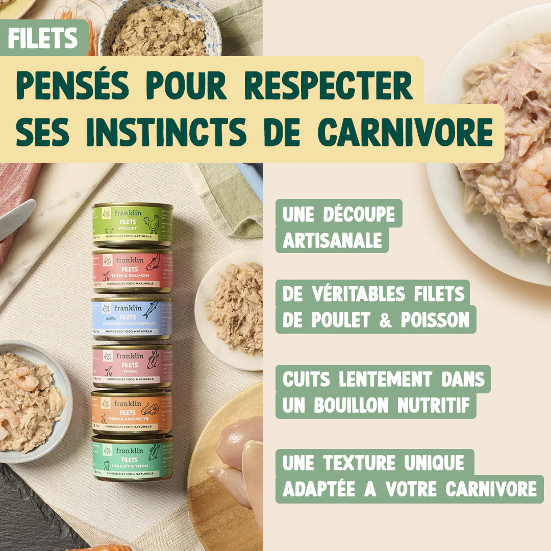 PACK DÉCOUVERTE CHAT - Image 4