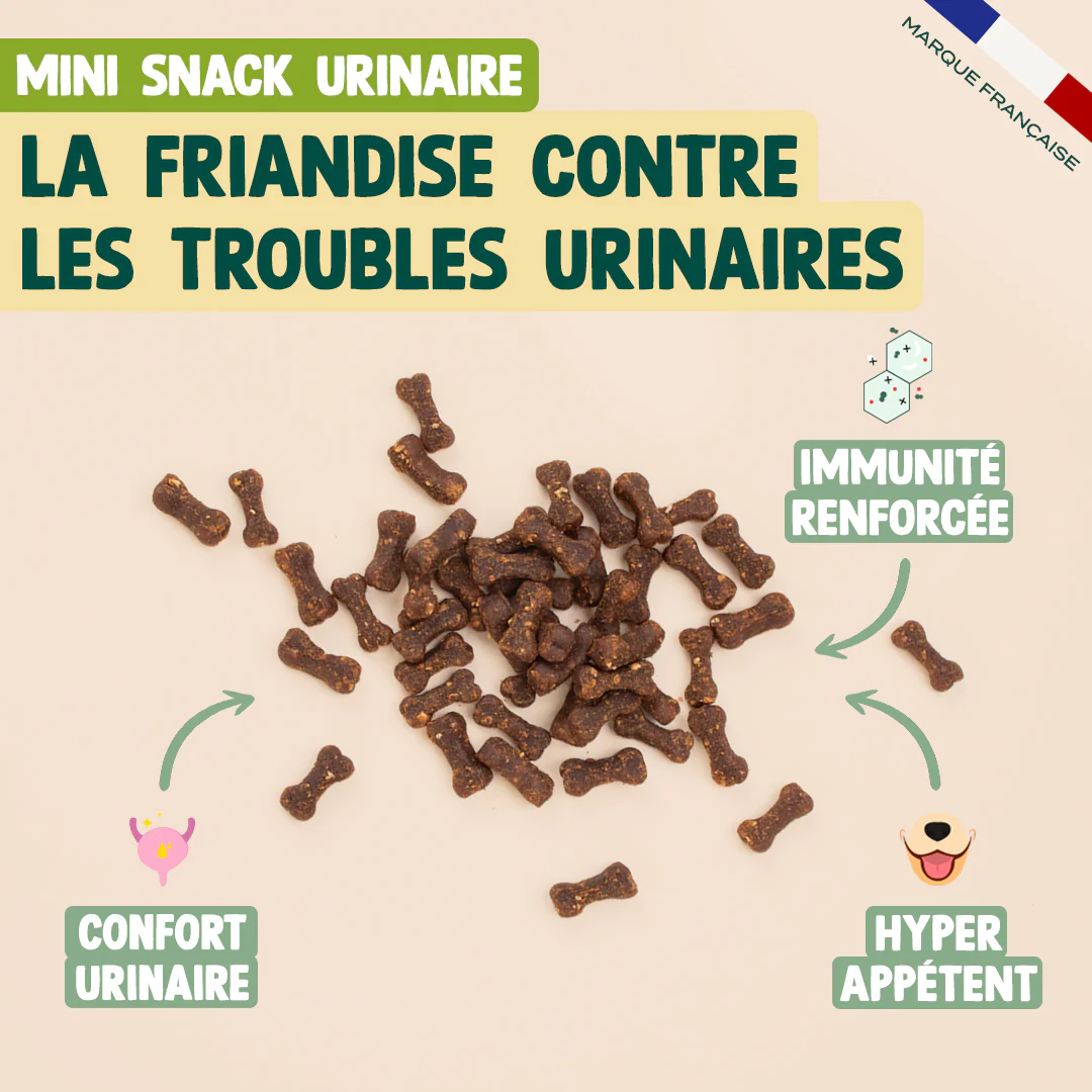 DUO MINI SNACK - Image 3