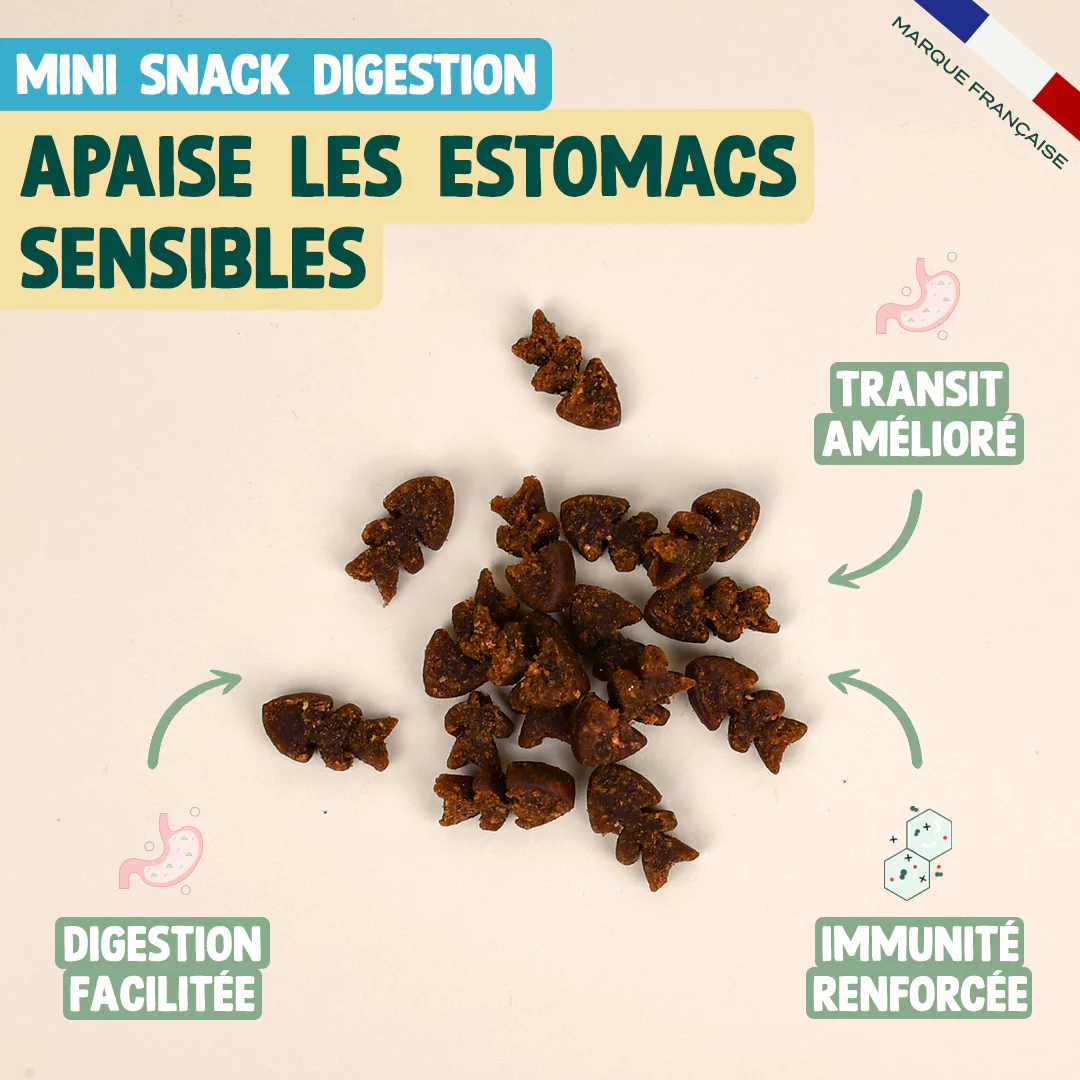 DUO MINI SNACK - Image 4