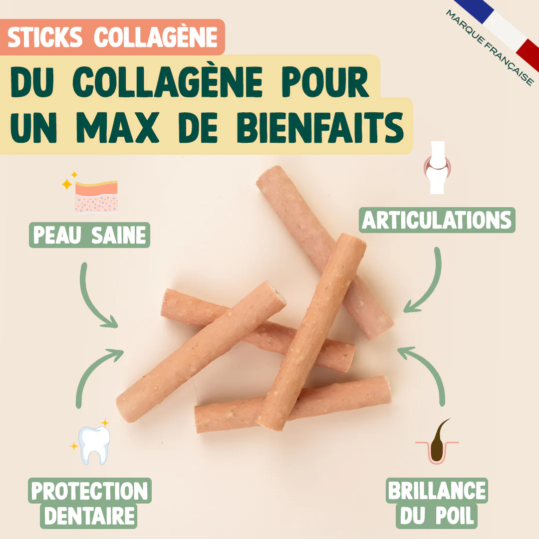 DUO 100% COLLAGÈNE - Image 4