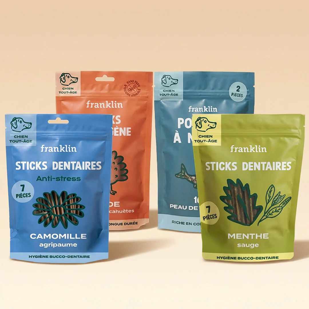 PACK STICKS DENTAIRES