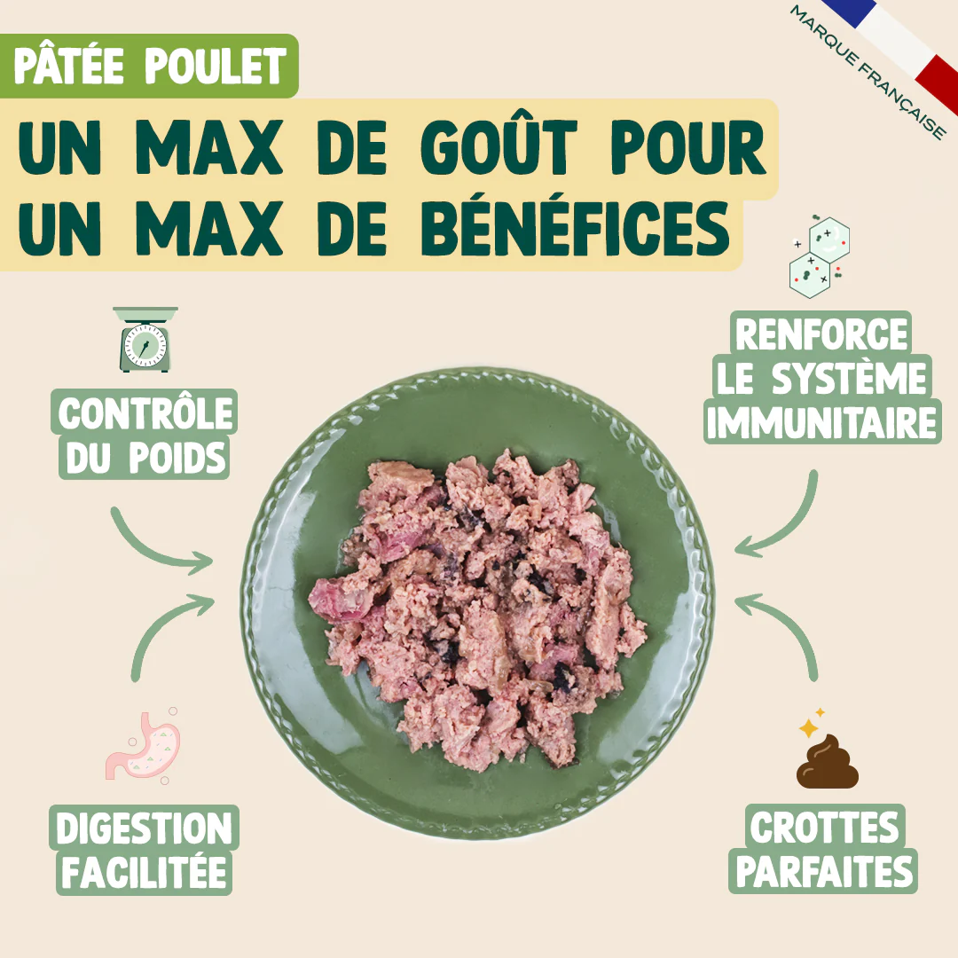 PACK CHIEN STÉRILISÉ - Image 4