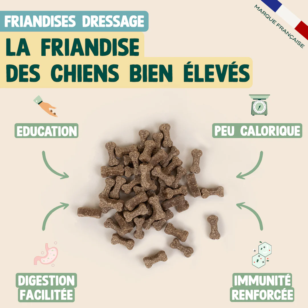 PACK CHIEN STÉRILISÉ - Image 5