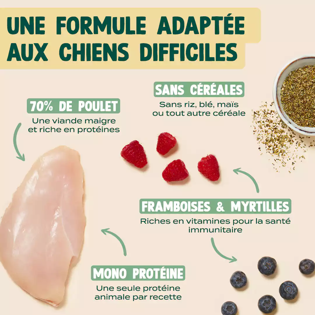 POULET, FRAMBOISE, ORIGAN - Image 3