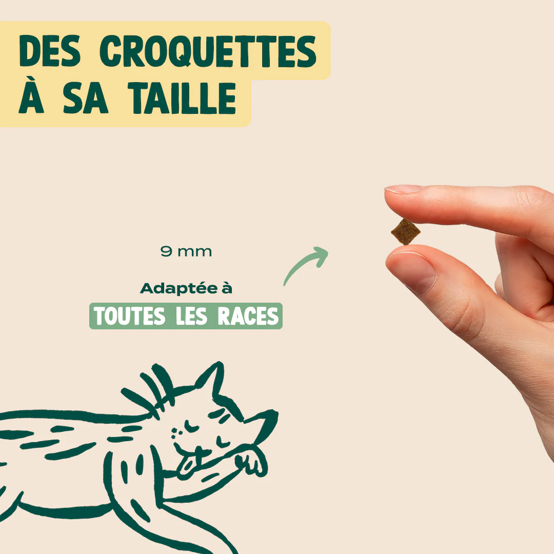 POULET, MYRTILLE, BASILIC - Image 6