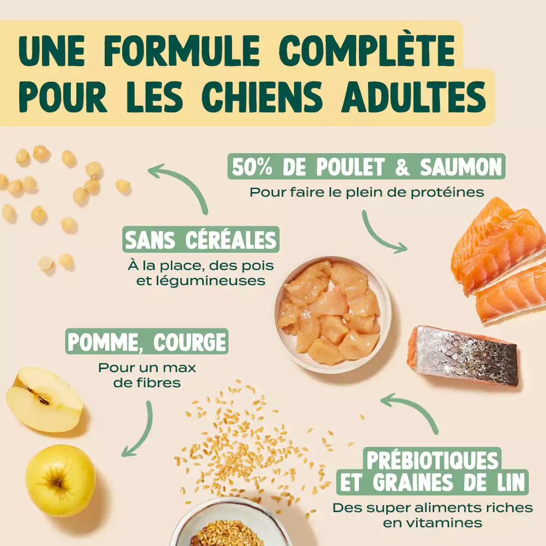 POULET, SAUMON, POMME - Image 4