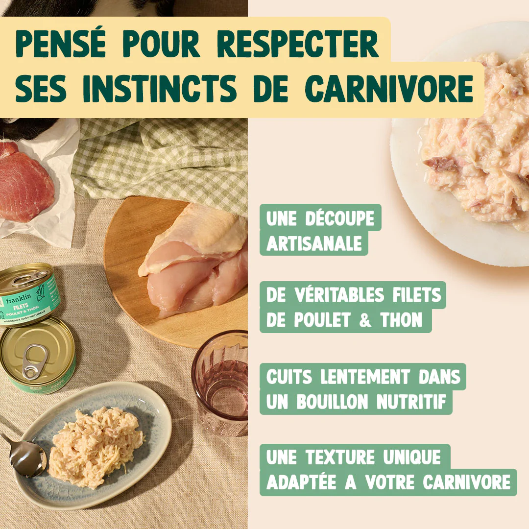 POULET & THON - Image 4