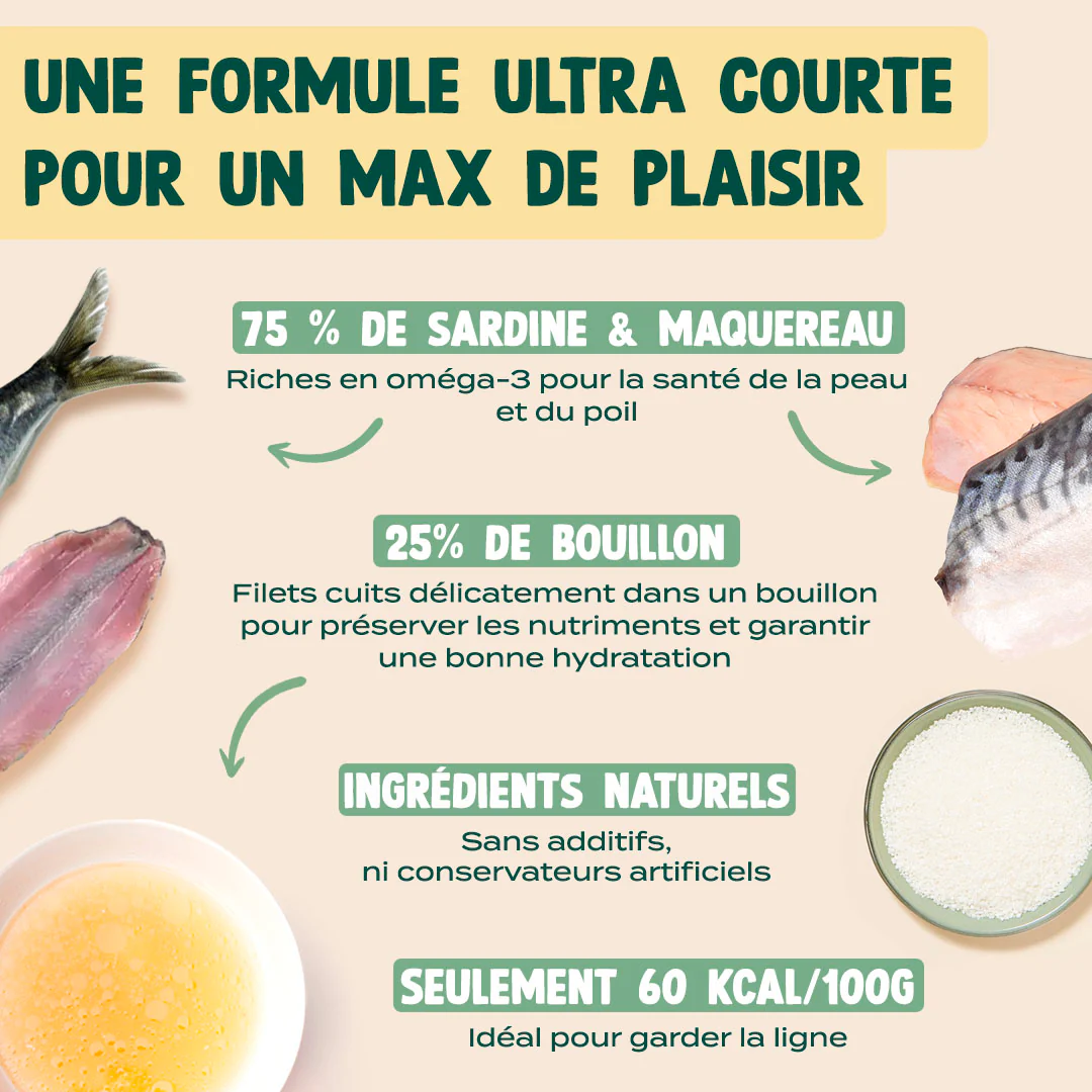 SARDINE & MAQUEREAU - Image 3