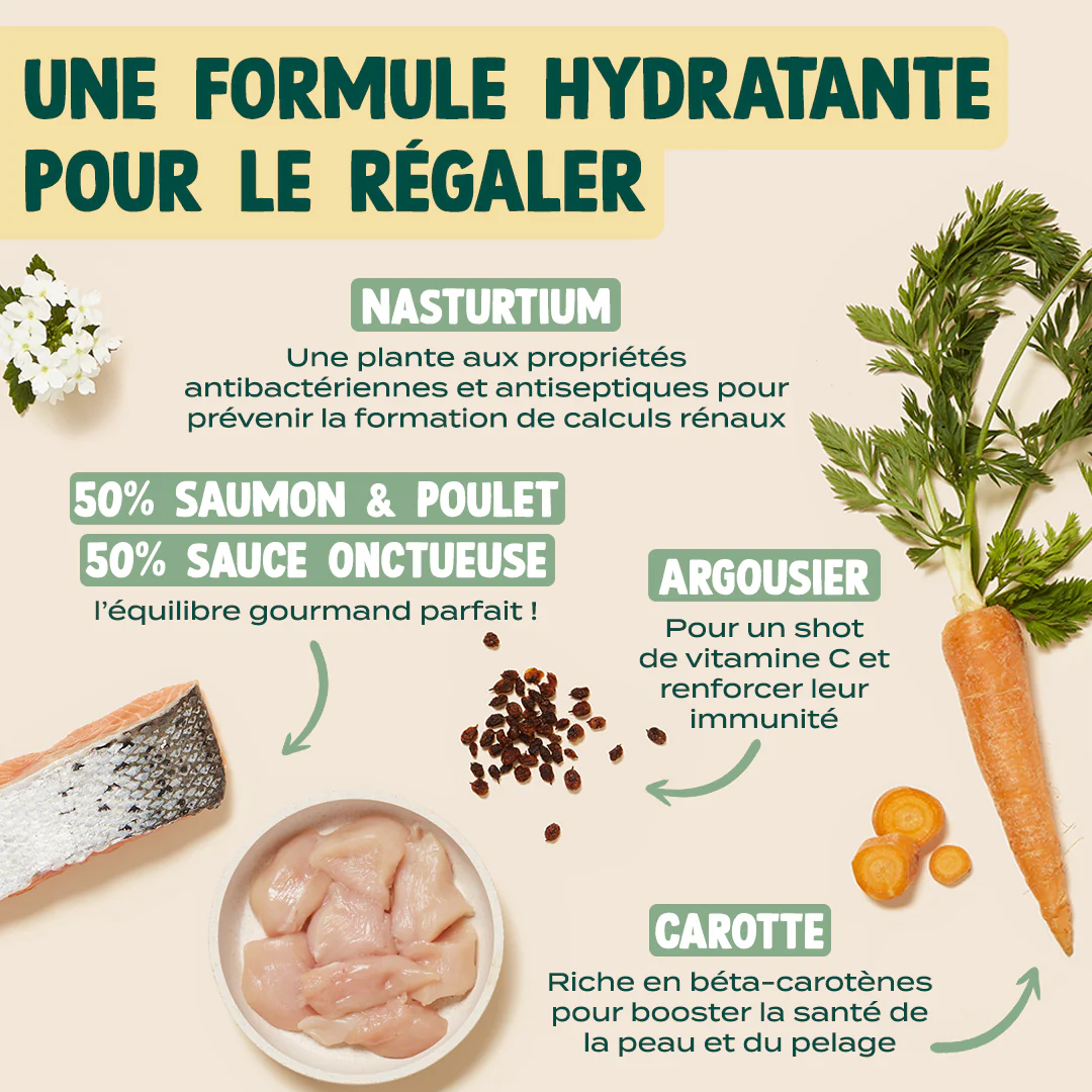 SAUMON, POULET, CAROTTE - Image 3