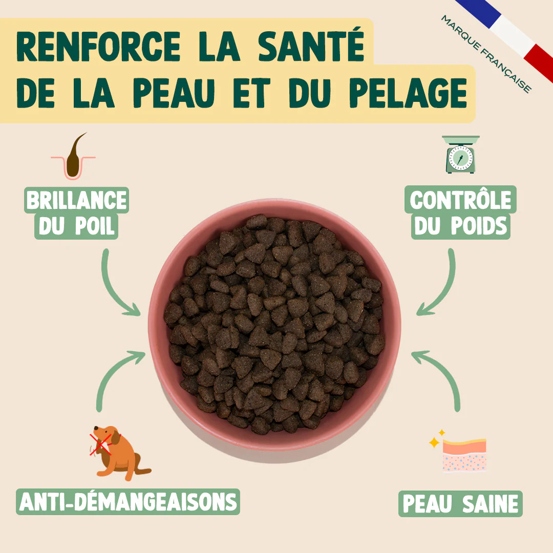 SAUMON, TRUITE, PERSIL - Image 3