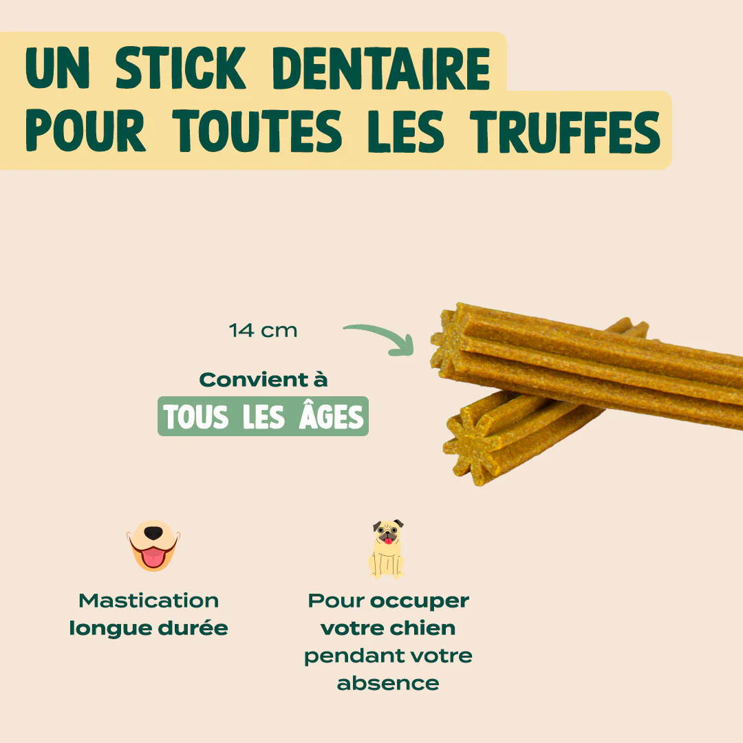 STICKS MOBILITÉ & ARTICULATIONS - Image 6