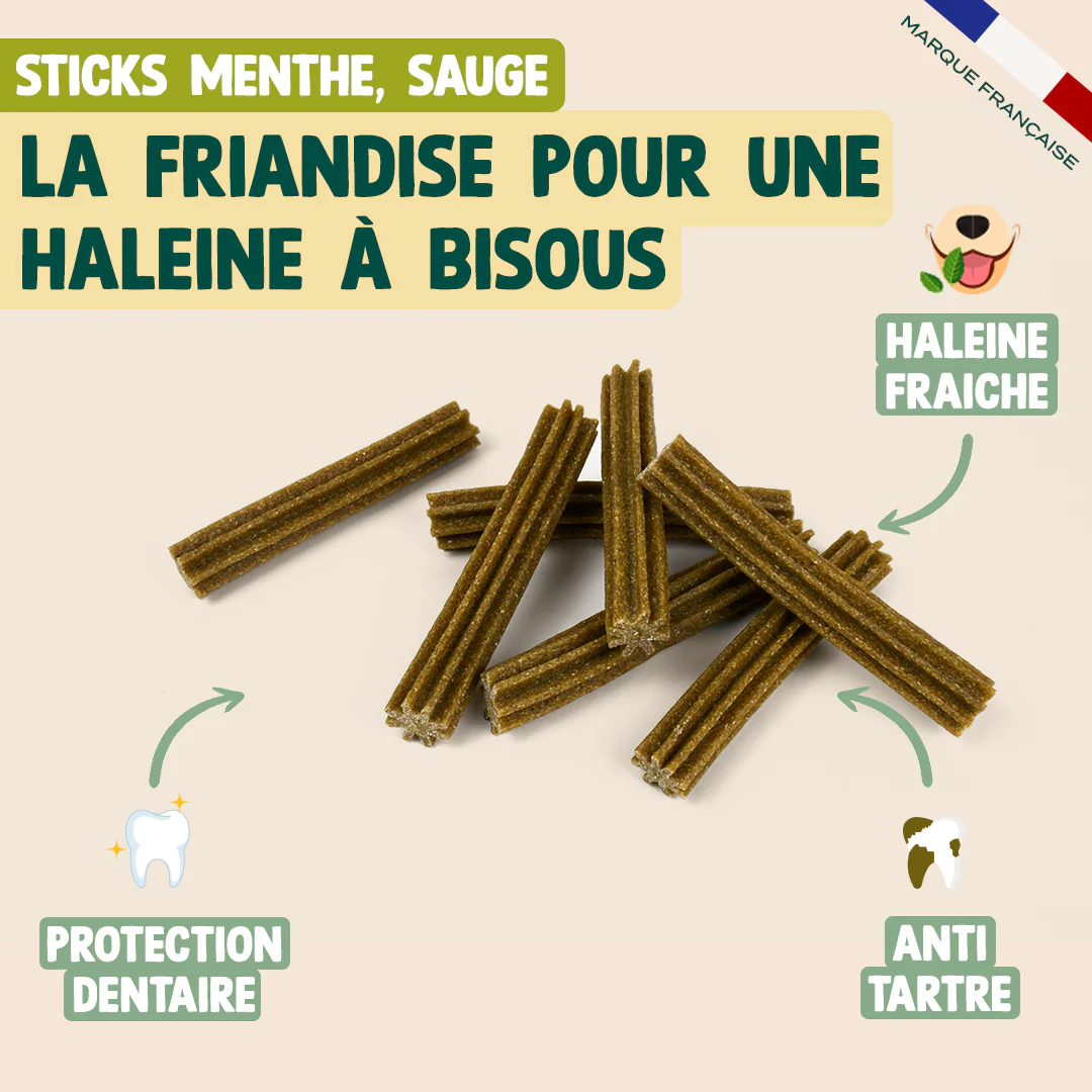 PACK STICKS DENTAIRES - Image 3