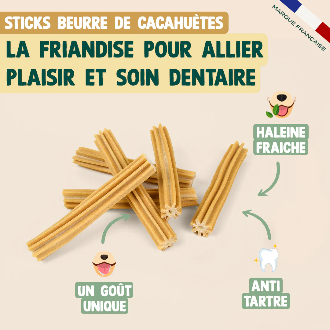PACK STICKS DENTAIRES - Image 4