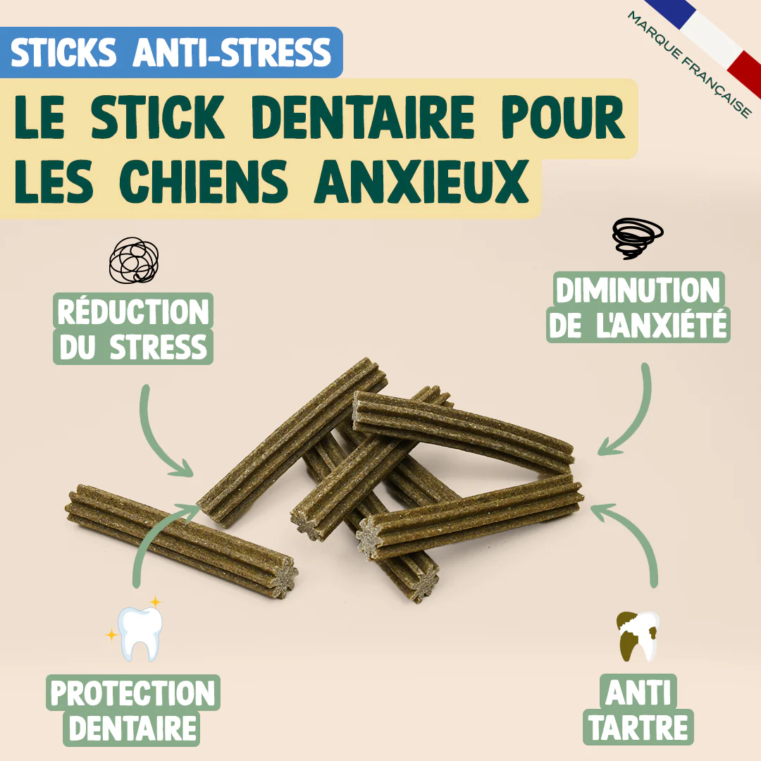 PACK ANTI-STRESS CHIEN - Image 3